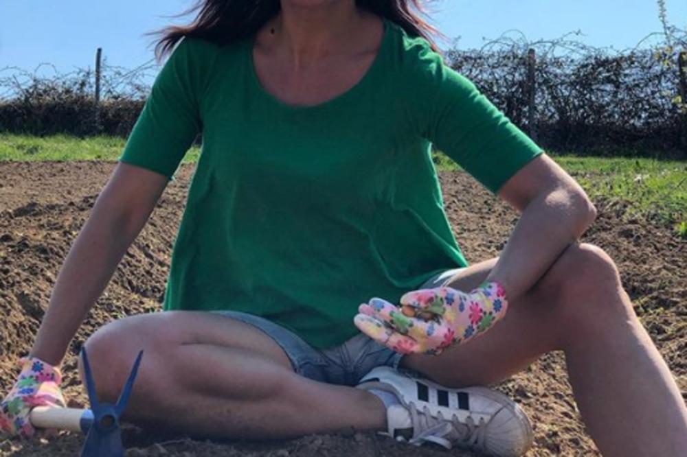 BEOGRAD PRAZAN USLED POLICIJSKOG ČASA, ESTRADA POBEGLA NA SELO: Poznati promenili adresu, kopaju zemlju i seku drva