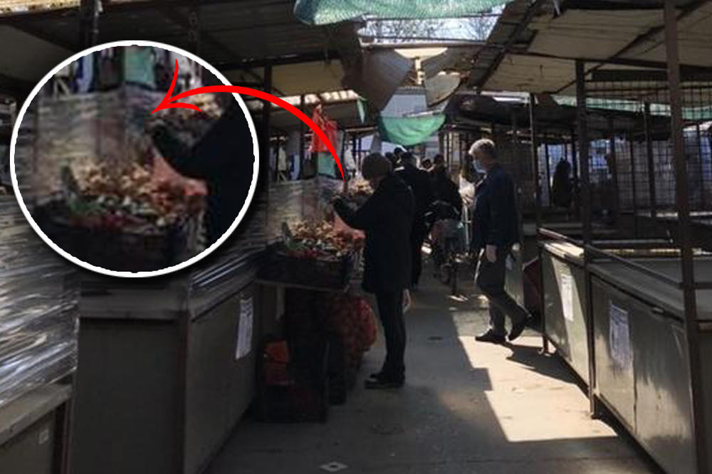 KORONA ĆE MOŽDA DA NESTANE, ALI ZATO PIPAČI NEĆE NIKAD! Navikli smo da pipamo sve što vidimo, pa to ti je!