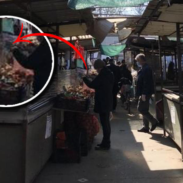 KORONA ĆE MOŽDA DA NESTANE, ALI ZATO PIPAČI NEĆE NIKAD! Navikli smo da pipamo sve što vidimo, pa to ti je!