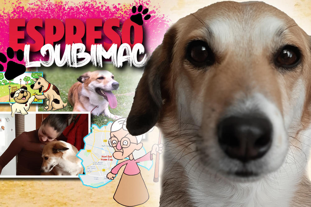 NIJE MI BILO JASNO ZBOG ČEGA ME BAKA TUČE KAD NIŠTA NISAM URADILA: Luna je u novom domu pobedila sve strahove