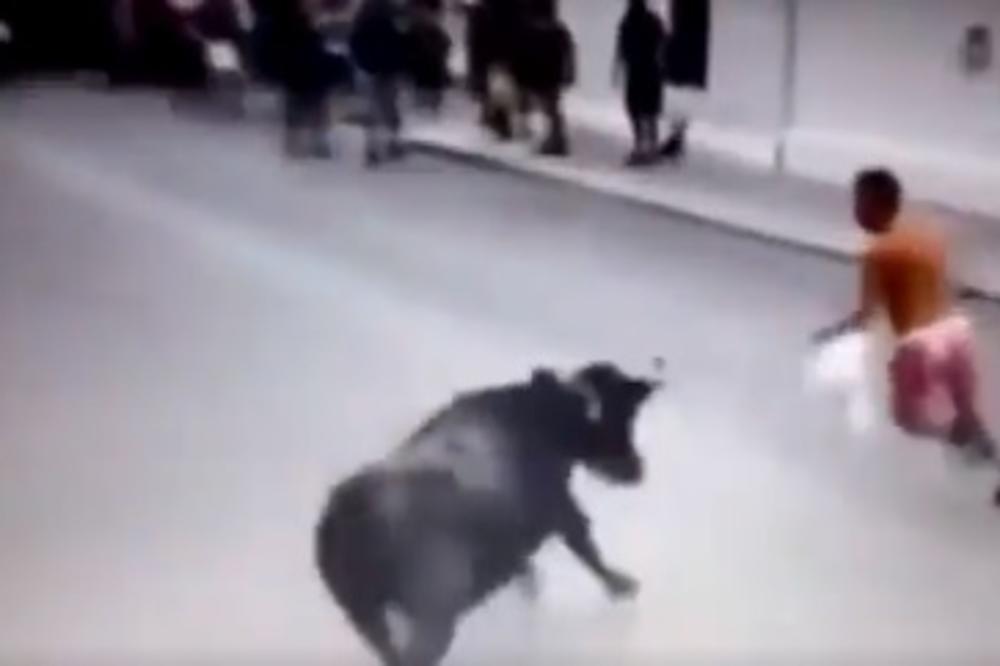 MAHAO JE BIKU MAJICOM ISPRED NOSA I BEŽAO OD NJEGA: Onda se desilo nešto zastrašujuće (VIDEO)