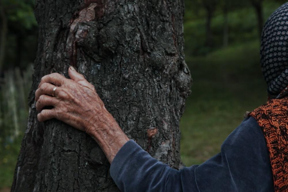Nagrada žirija za najbolji kratki film za "A sad se spušta veče" Maje Novaković na festivalu u SAD