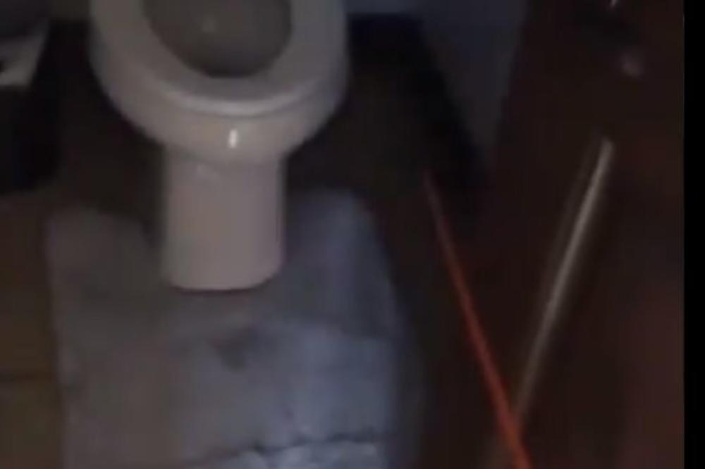 SVI SU VRISNULI KAD JE OVO ISKOČILO IZ WC-A! Pa ovo je SRCE DA TI STANE! (VIDEO)