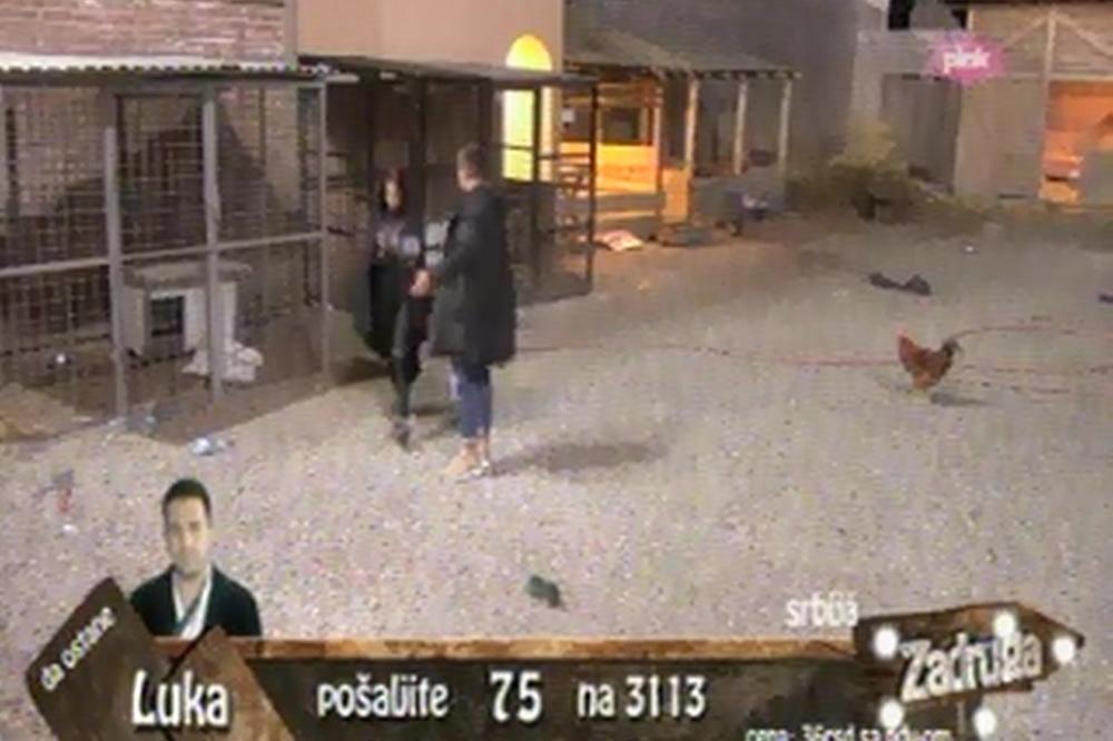 NIJE MU MIRNA SAVEST! Milica pitala Janjuša za se*s u kućici!