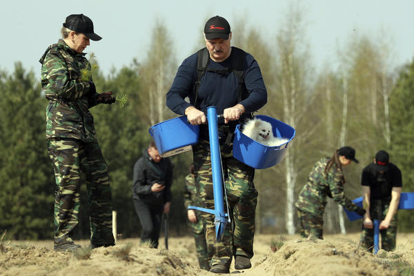 LET HELIKOPTEROM IZNAD DEMONSTRACIJA, KALAŠNJIKOV, PANCIR, PACOVI... Ovo je ŠOU Lukašenka u Minsku usred PROTESTA!