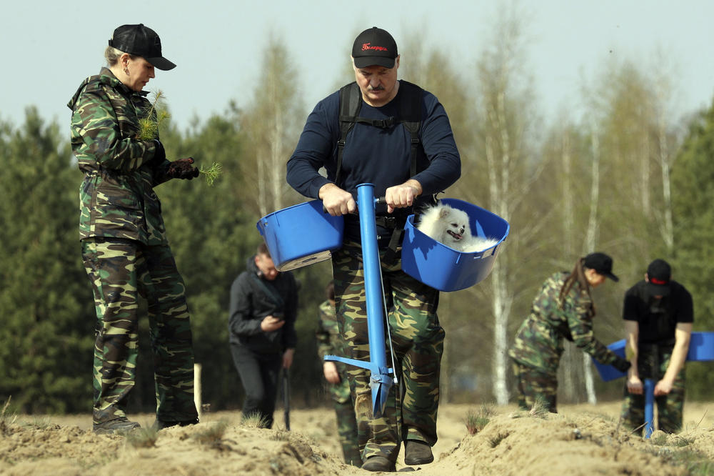 LET HELIKOPTEROM IZNAD DEMONSTRACIJA, KALAŠNJIKOV, PANCIR, PACOVI... Ovo je ŠOU Lukašenka u Minsku usred PROTESTA!