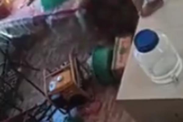 IMATE PROBLEMA S BUBAŠVABAMA? Nije strašno, pogledajte šta je ovim ljudima UŠLO U KUHINJU! (VIDEO)