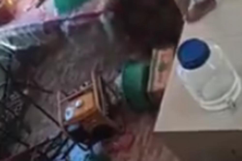 IMATE PROBLEMA S BUBAŠVABAMA? Nije strašno, pogledajte šta je ovim ljudima UŠLO U KUHINJU! (VIDEO)