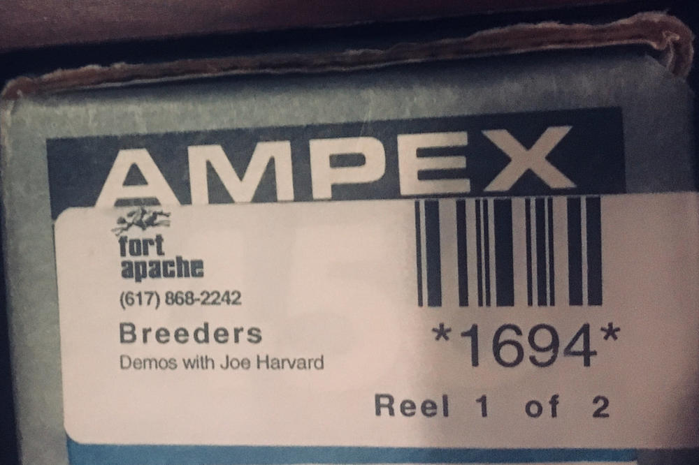 TANYA DONELLY: DEMOS WITH JOE HARVARD (FT. KIM DEAL)