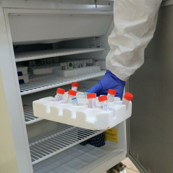 OGLASILA SE ANA LONČAR: Ima veoma bitne informacije u vezi sa KORONOM!