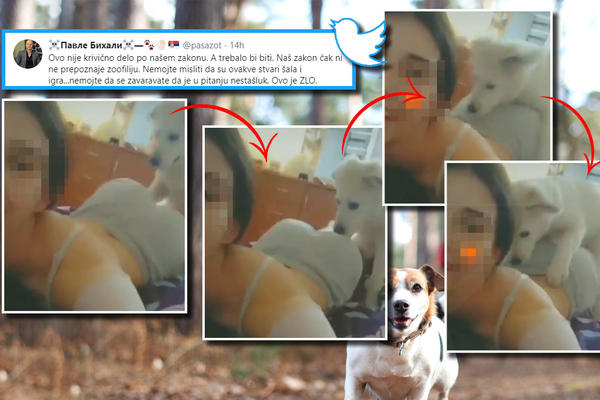 LJUDI, OVO NIJE ŠALA, OVO JE ZLO! Devojka okačila snimak s psom iz sobe, Levijatan tvrdi da je u pitanju zoofilija!