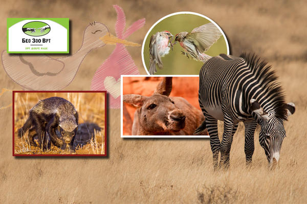 BEOGRAĐANI, OPET MOŽETE U ZOO VRT! Otvoren je posle duže pauze, biće prinova, A VEĆ IMA I MLADUNACA