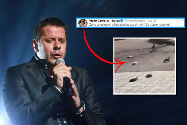 GEORGIEV NASTAVLJA DA BRILJIRA, OVOG PUTA OKAČIO MRTVE GOLUBOVE: Naučnici, da vas čujem? (VIDEO)
