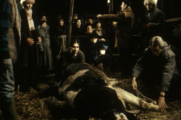 Nagrađivani film "Atorzija" Stefana Arsenijevića na Jutjub kanalu Filmskog centra Srbije