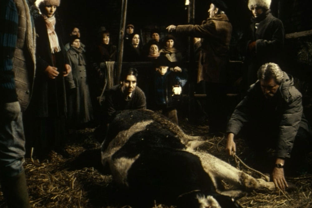 Nagrađivani film "Atorzija" Stefana Arsenijevića na Jutjub kanalu Filmskog centra Srbije