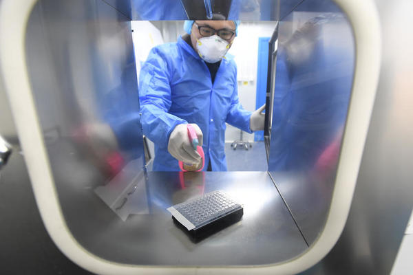 NAUČNICI VRŠE EKSPERIMENTE: Uspeli da ukrste gene MAJMUNA i ČOVEKA