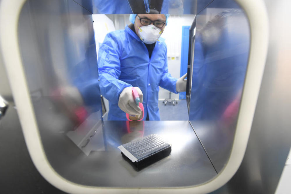 NAUČNICI VRŠE EKSPERIMENTE: Uspeli da ukrste gene MAJMUNA i ČOVEKA