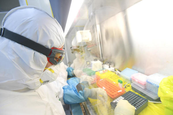 OTKRIVENA NOVA VIRUSNA ZARAZNA BOLEST: Naučnici ga nazvali Jezo virus, evo gde je nađen