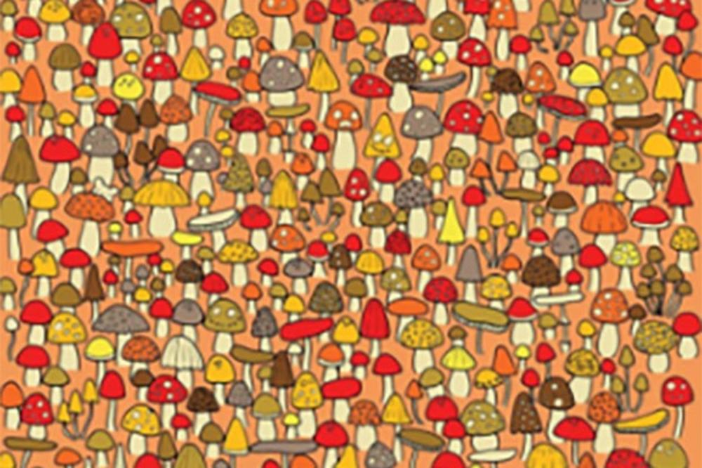 ZA DESET SEKUNDI PRONAĐITE MIŠA I BUDITE MEĐU 5 ODSTO NAJPAMETNIJIH: Možete li?