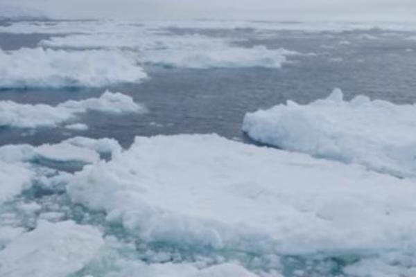 ŠOK OTKRIĆE SA ANTARTIKA SLEDILO SVET! Godinama se verovalo da ovo ne postoji!