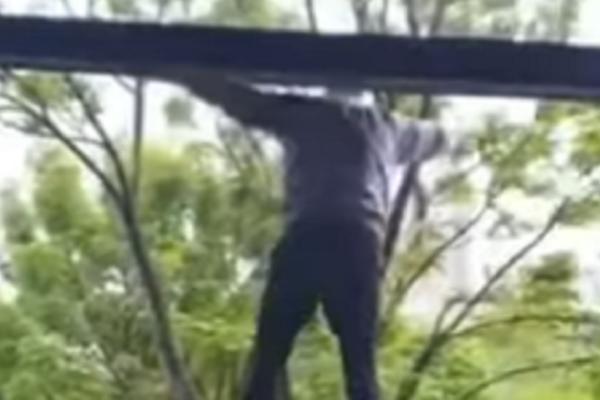 SRĐAN ĐOKOVIĆ PODIVLJAO: Popeo se na prozor, digao tri prsta i zapevao sa sve tompusom u ruci! (VIDEO)