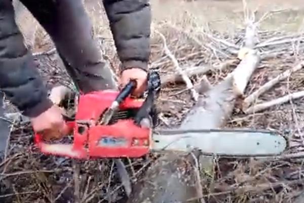 VRANJANAC STRADAO DOK JE SEKAO DRVA U ŠUMI: Zna se kako se nesreća desila