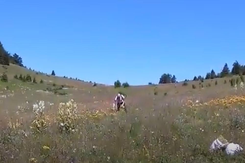 SUTRA JE ĐURĐEVDAN, A OVE OBIČAJE MORATE ISPOŠTOVATI Devojke u selima BERU OVU BILJKU da bi se momci lepili za njih