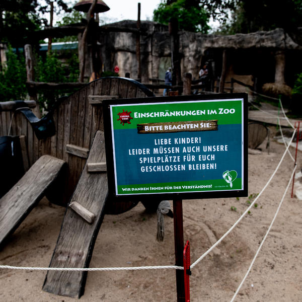 ZA OVE ŽIVOTINJE JE KORONAVIRUS NAJOPASNIJI: Mogle bi da IZUMRU jer su previše slične nama!