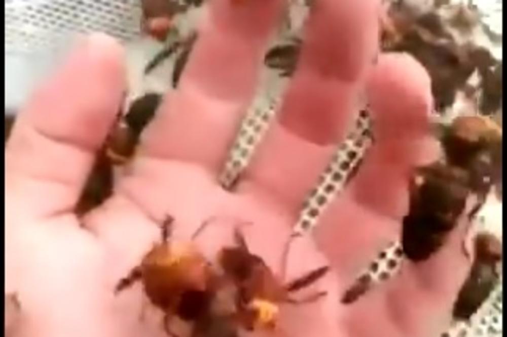 STRŠLJEN UBIO MUŠKARCA (33) U HRVATSKOJ! Nije mu bilo SPASA