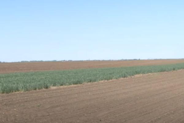 SRBIJA KREĆE U LJUTU BORBU PROTIV TEŠKOG PROBLEMA, A NIJE KORONA: Ministarstvo ekologije ima plan