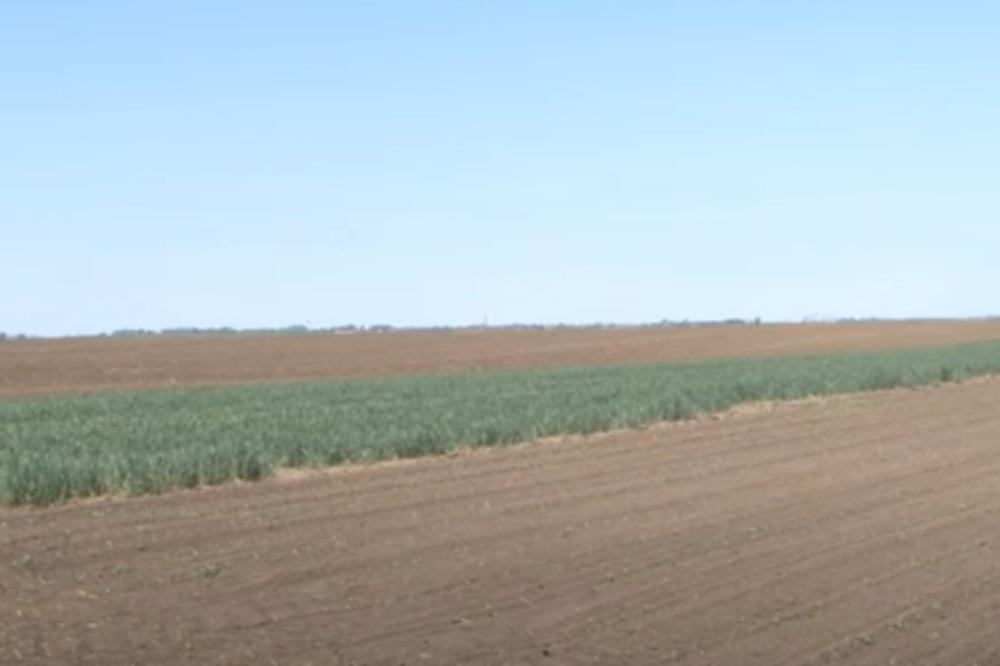 SRBIJA KREĆE U LJUTU BORBU PROTIV TEŠKOG PROBLEMA, A NIJE KORONA: Ministarstvo ekologije ima plan