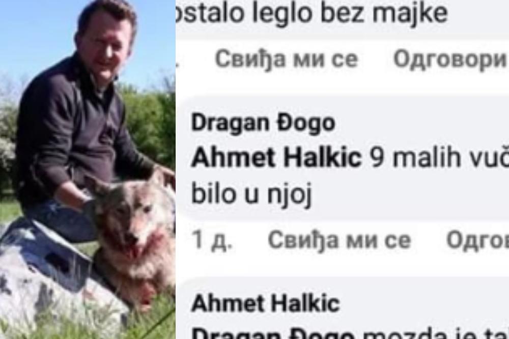 UBIO SKOTNU VUČICU I 9 VUČIĆA U NJOJ, PA SE, SKOTINA, HVALIO NA FEJSBUKU! Pored nas hodaju ljudske zveri (FOTO)
