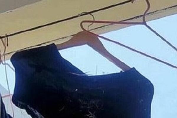 TRI MESECA SU MU BOKSERICE STAJALE NA ŽICI ZA SUŠENJE: Nije mogao da veruje u kakvom stanju ih je zatekao (VIDEO)