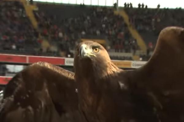 A NIJE PROPUSTIO MEČ OD 2006. GODINE: Ajntrahtov orao ne sme na utakmice!