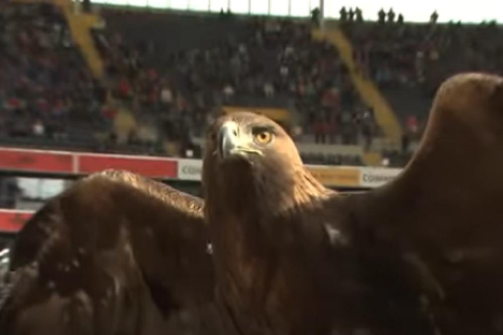 A NIJE PROPUSTIO MEČ OD 2006. GODINE: Ajntrahtov orao ne sme na utakmice!