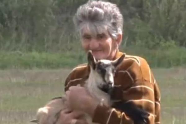 DRAGOMIR JE OSTAO BEZ POSLA: Odlučio je da GAJI KOZE, a ove zime mu se dogodilo nešto neočekivano