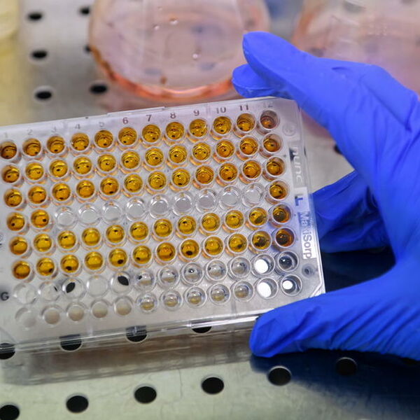 U CRNOJ GORI SE NASTAVLJA KORONA LUDILO: Zaražena 61 osoba