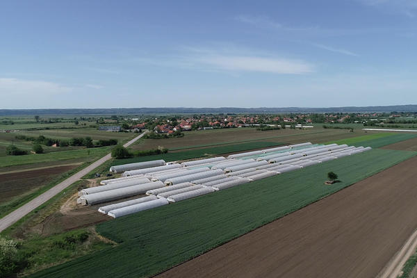 I MLADI ŽELE DA ŽIVE NA SELU: uz pomoć države kupio plastenike i proširio povrtarsku proizvodnju (video)