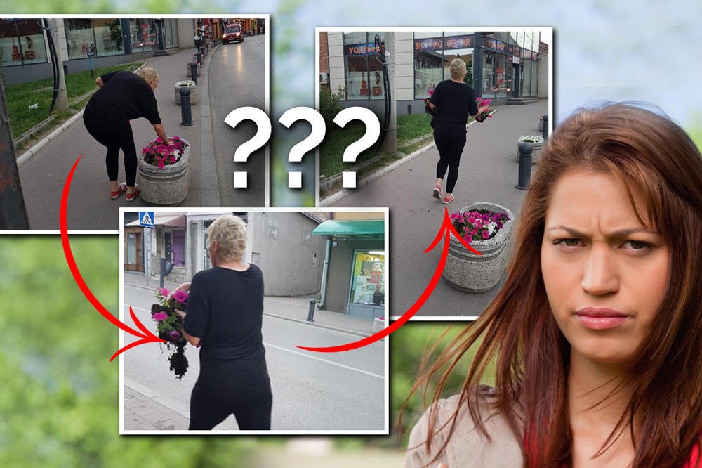 SRPSKA PROPAST U 3 SLIKE: Ova žena iz Smedereva je najbolje objasnila zašto smo tu gde jesmo (FOTO)