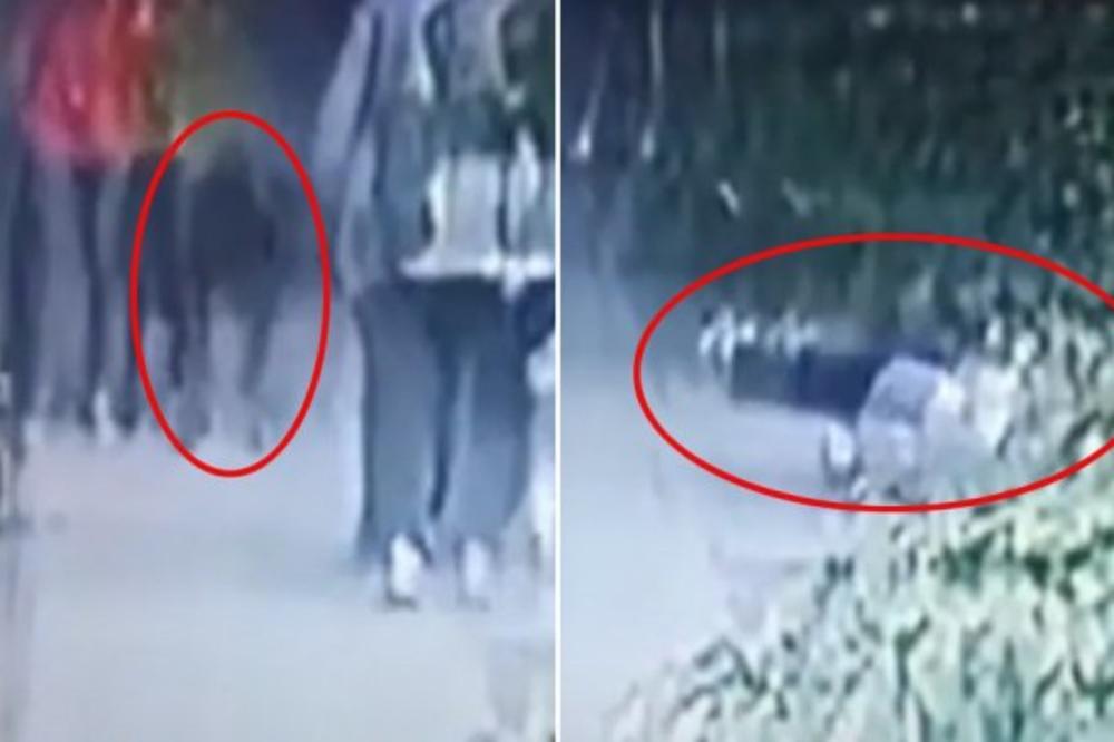 HOROR SCENA U PANČEVU! Rotvajleri napali baku i devojčicu, SRAMOTA JE ŠTA VLASNICA PASA URADILA! (VIDEO)