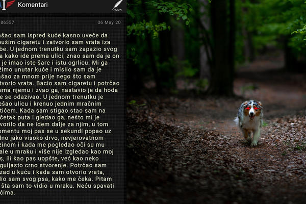 POPEO SE UZ DRVO NEVEROVATNOM BRZINOM, A ONDA ME POGLEDALO DUGULJASTO CRNO STVORENJE: Jeziva ispovest vlasnika psa