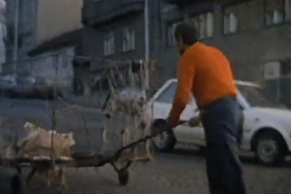 Nagrađivani film Gorana Radovanovića "Columba Urbica" na kanalu Filmskog centra Srbije