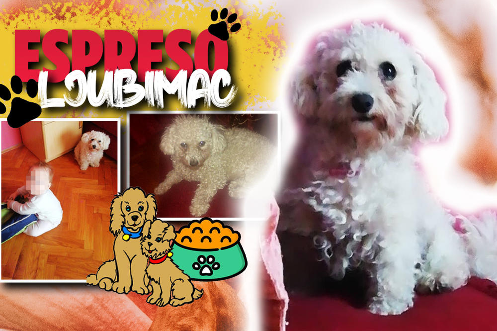 IZLEČENA SAM OD TUMORA MATERICE, SREĆNA SAM I SITA: Ovaj ljubimac je uspeo da prebrodi težak period!