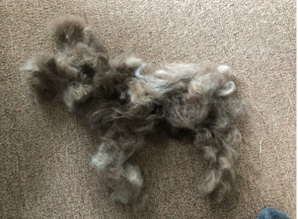 Dlake, Optičke iluzije