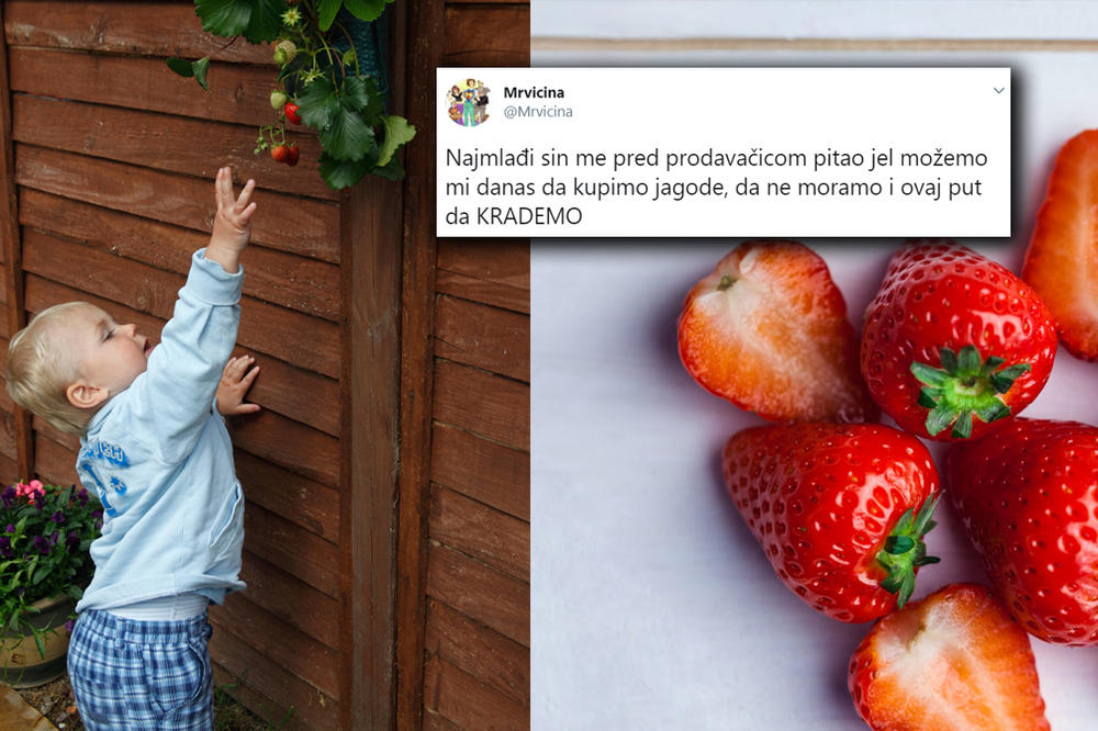 JE L' MOŽEMO DANAS DA KUPIMO JAGODE, DA NE MORAMO OPET DA KRADEMO? U ovom tvitu su se pronašli mnogi roditelji