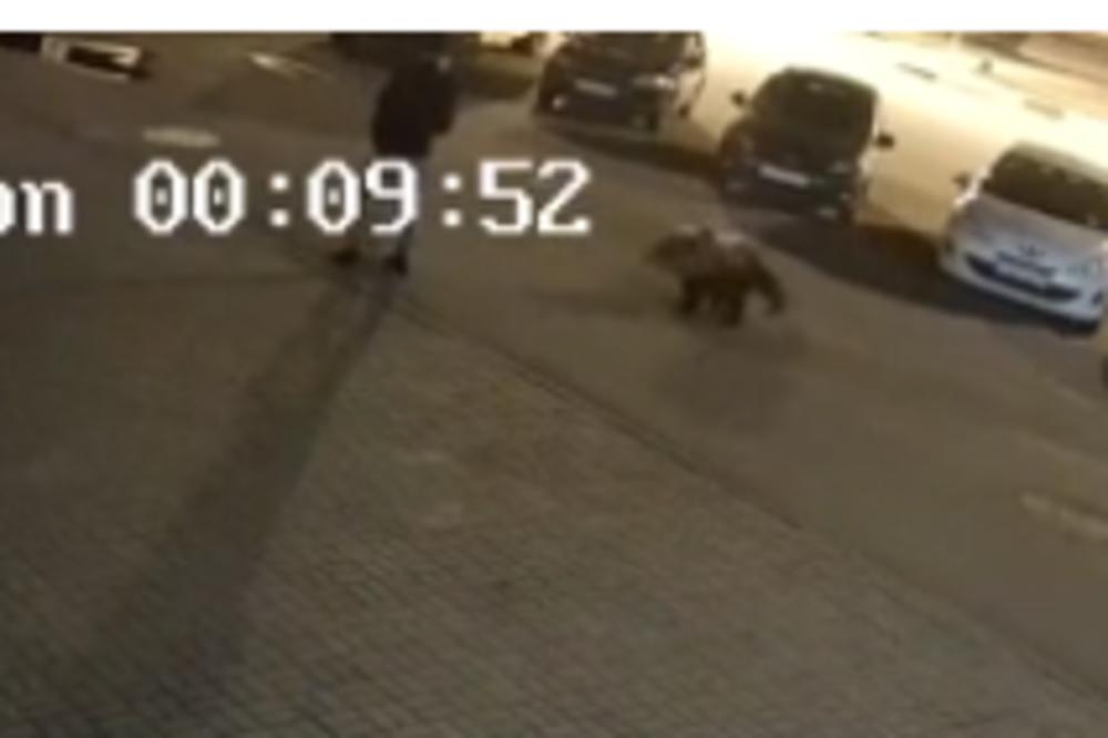 ISPOVEST MLADIĆA KOJEG JE NAPAO MEDVED USRED GRADA: Njegova priča je prava NOĆNA MORA! (VIDEO)