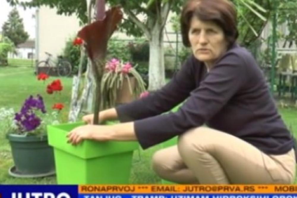 ŽENA IZ BOGATIĆA JE KUPILA NA PIJACI SADNICU ZA 50 EVRA: Kad je procvetala, doživela je šok: STRAVIČNO JE SMRDELO