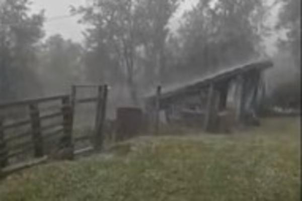 GROM UBIO TRI KRAVE U SELU GRUBETIĆI: Cela porodica živi od njih! Oluja širom Srbije UNIŠTAVALA SVE PRED SOBOM