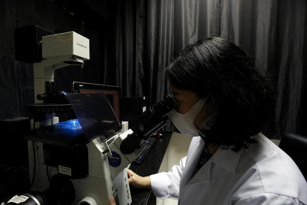 RUSI TESTIRAJU VAKCINU NA KORONU KRAJEM JULA: Da li je ovo ključni momenat u borbi protiv bolesti?