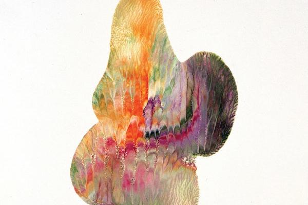 ČOVEK SENKA PREPORUČUJE: Ovo je pet albuma koje bi trebalo da preslušate danas (VIDEO)